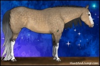 Horse Color:White Spotted Buckskin Dun Sabino