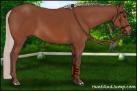 Horse Color:Chocolate Silver Bay 