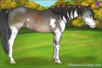 Horse Color:Brown Splash 