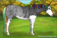 Horse Color:Painted Black Ice Splash Rabicano 