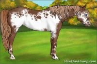 Horse Color:Chestnut Frame 