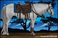 Horse Color:Black Appaloosa Rabicano 