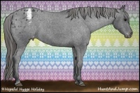 Horse Color:Black Appaloosa Rabicano 