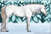 Horse Color:Smoky Black Varnish Rabicano 