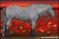 Horse Color:Black Appaloosa Rabicano 