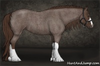 Horse Color:Liver Red Roan 