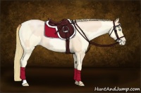 Horse Color:Buckskin Roan Pearl  and Buckskin Roan Pearl 