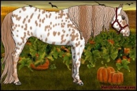 Horse Color:Red Roan Near Leopard 