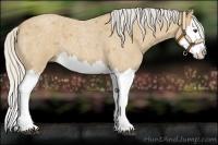 Horse Color:Silver Buckskin Roan Splash
