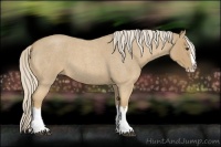 Horse Color:Palomino Roan Splash 