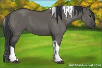 Horse Color:Grullo Tobiano