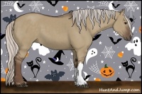 Horse Color:Silver Grullo 