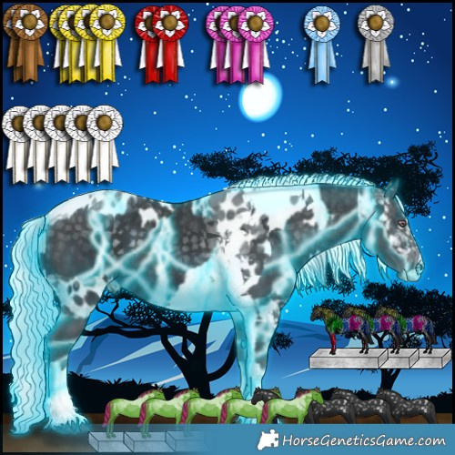 Horse Color:Thunderstruck Silver Black Chinchilla Tobiano  and Thunderstruck Silver Black Chinchilla Tobiano Near Leopard 