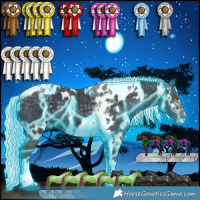 Horse Color:Thunderstruck Silver Black Chinchilla Tobiano  and Thunderstruck Silver Black Chinchilla Tobiano Near Leopard 