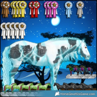 Horse Color:Thunderstruck Silver Black Chinchilla Tobiano  and Thunderstruck Silver Black Chinchilla Tobiano Appaloosa 
