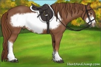Horse Color:Chestnut Frame