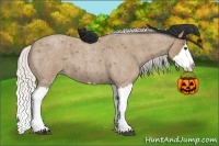 Horse Color:Silver Buckskin Roan Splash