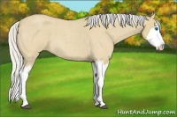 Horse Color:Silver Buckskin Roan Splash 