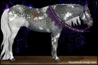 Horse Color:White Spotted Silver Black Chinchilla Sabino