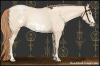 Horse Color:Smoky Blue Roan Pearl  and Smoky Blue Roan Pearl Frame 