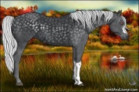 Horse Color:Silver Black Chinchilla 