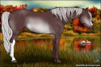 Horse Color:Chocolate Silver Brown Chinchilla 