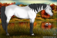 Horse Color:Brown Chinchilla