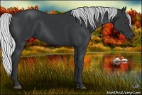 Horse Color:Silver Black Chinchilla 