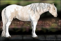 Horse Color:Silver Black Ice Pearl Tobiano 