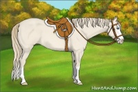 Horse Color:Perlino Roan Splash