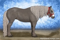 Horse Color:Silver Black 