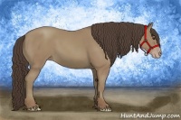 Horse Color:Classic Champagne 