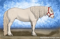 Horse Color:Smoky Creme 