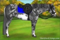 Horse Color:White Spotted Black Sabino Frame 