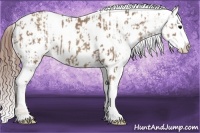 Horse Color:Classic Champagne Appaloosa and Classic Champagne Appaloosa