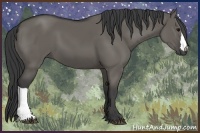 Horse Color:Grullo 