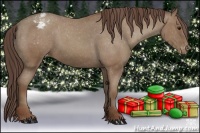 Horse Color:Classic Champagne Appaloosa 