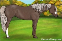 Horse Color:Silver Black 