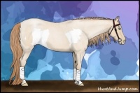 Horse Color:Smoky Blue Roan Pearl  and Smoky Blue Roan Pearl Frame 