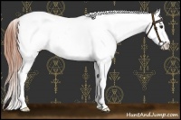 Horse Color:Classic Champagne Near Leopard  and Classic Champagne Splash Near Leopard 