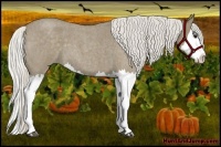 Horse Color:Silver Smoky Blue Roan Splash 