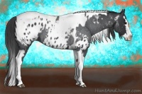 Horse Color:Blue Roan Splash Tobiano Varnish  and Blue Roan Splash Tobiano Blanket 
