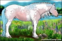Horse Color:Watercolor Bay Dun Tobiano 