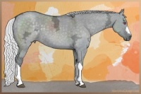 Horse Color:Silver Grullo Chinchilla Ice 