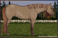 Horse Color:Liver Red Dun 