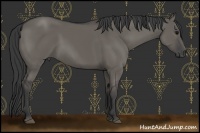 Horse Color:Grullo 