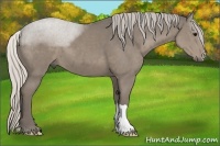 Horse Color:Silver Smoky Grullo 