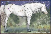 Horse Color:Liver Red Onyx Sabino Splash Appaloosa 