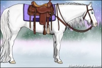Horse Color:Plaid Cremello Dun Sabino Frame Appaloosa