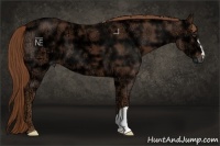 Horse Color:Chestnut Ice 